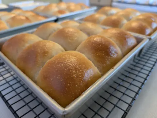 Pull-Apart Dinner Rolls