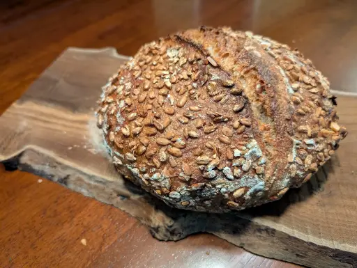 Seeded Multigrain